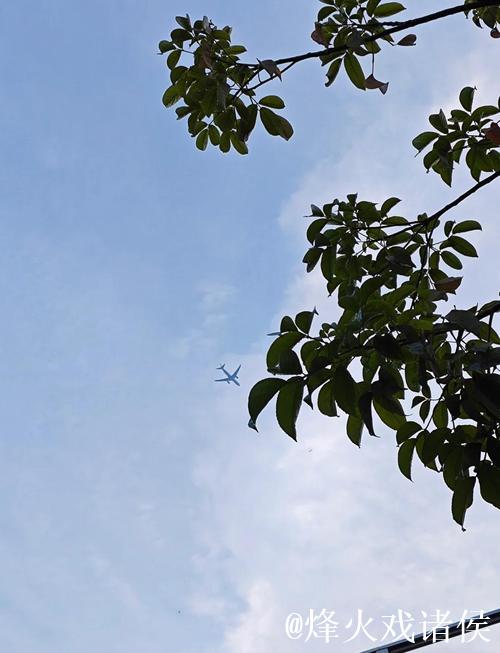 人生无所谓失败 只有成功与成长